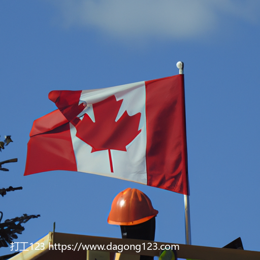 加拿大木工材料的种类和用途